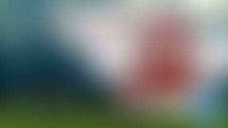 Ich trage Dich auf Flügeln