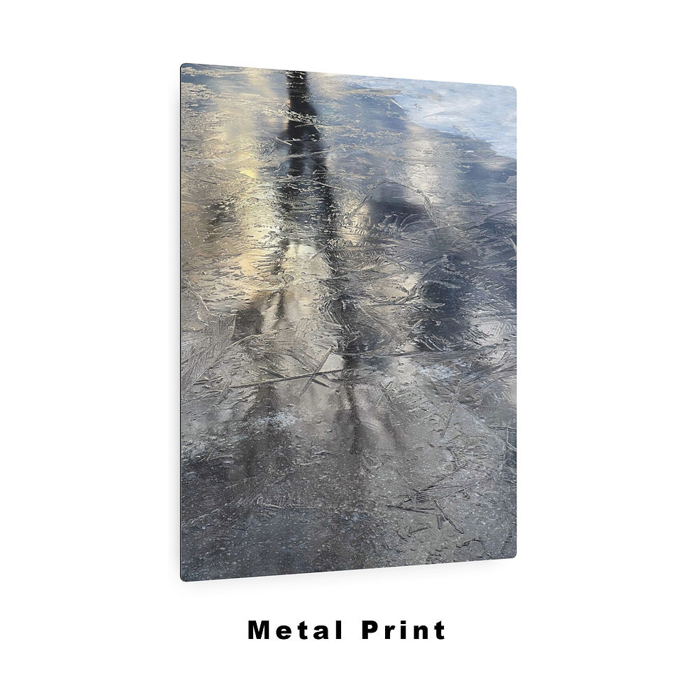 Thumbnail: Ice Veil