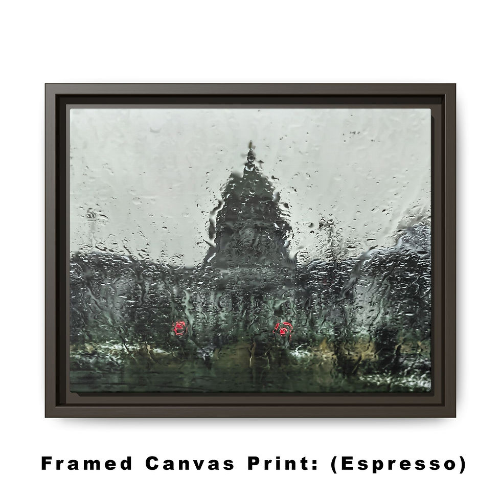 Thumbnail: Veil of Rain