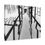Thumbnail: "Playground Reverie" Canvas Photo Art 