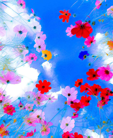 Floral Sky