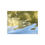 Thumbnail: "Liquid Dreams" Satin/Matte Photo Print