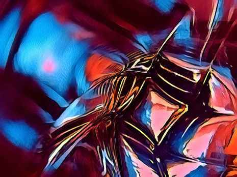 Spectrum Glass