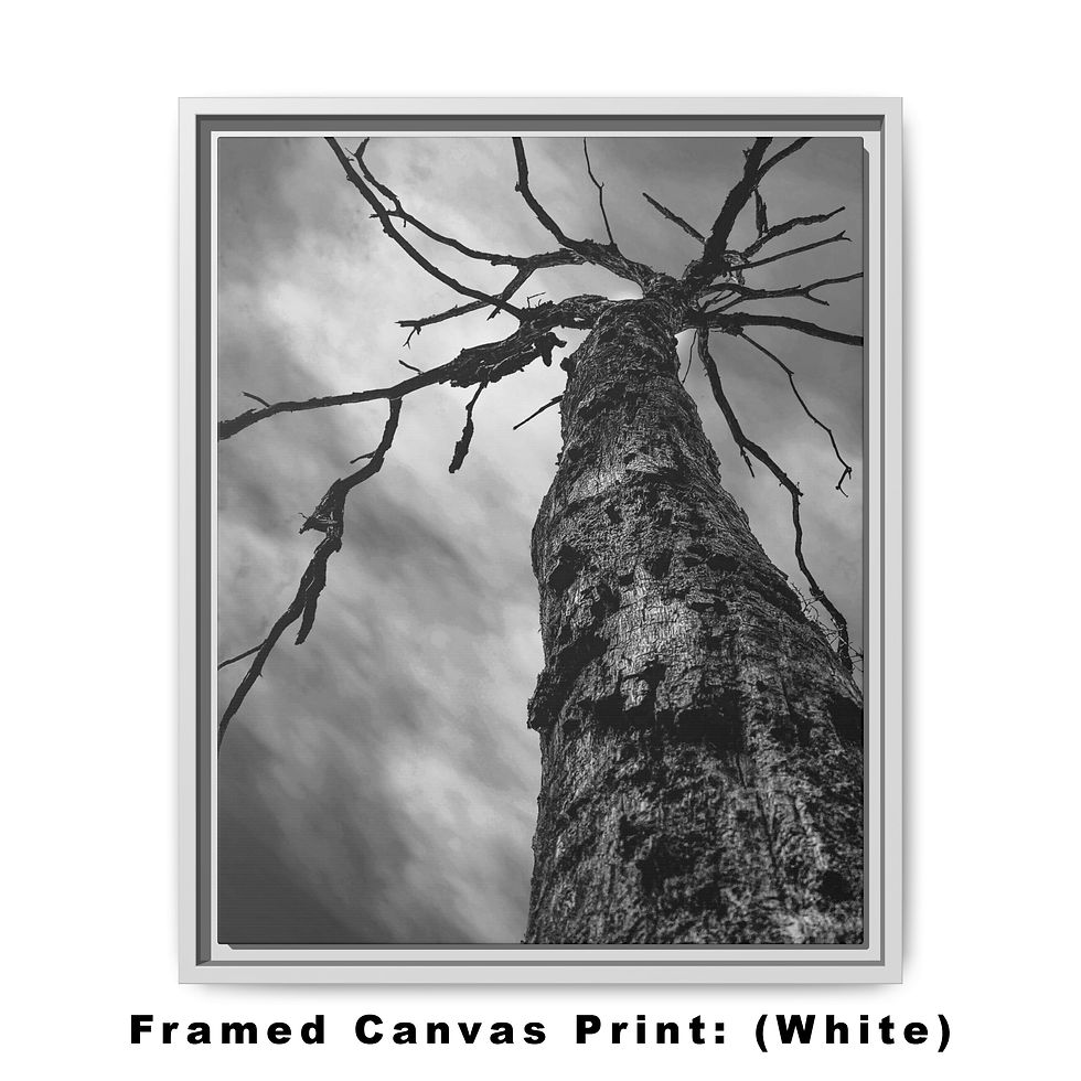 Thumbnail: Ascension