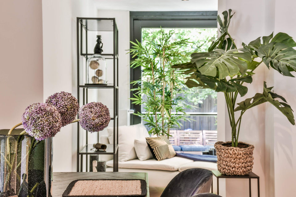 Marieken van Nimwegen