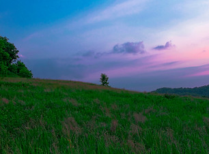 Daniel Boone National Forest.jpg