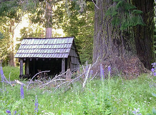 Rogue-Umpqua Divide Wilderness.jpg