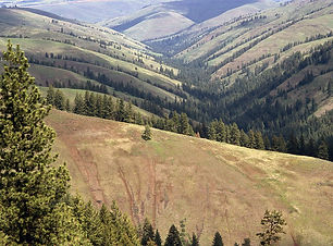 Umatilla National Forest.jpg