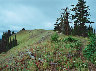 Wenaha-Tucannon Wilderness.jpg