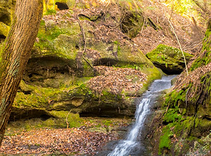 Mammoth Cave National Park.jpg