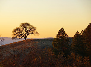 Henry W. Coe State Park .jpg