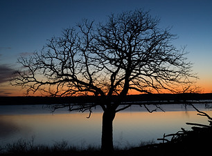 Cross Timbers State Park.jpg
