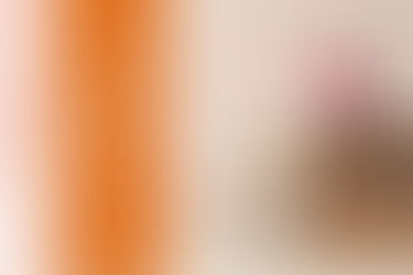 宏傳時代生活觀|新手爸媽入門,打造適合孩子的親子宅