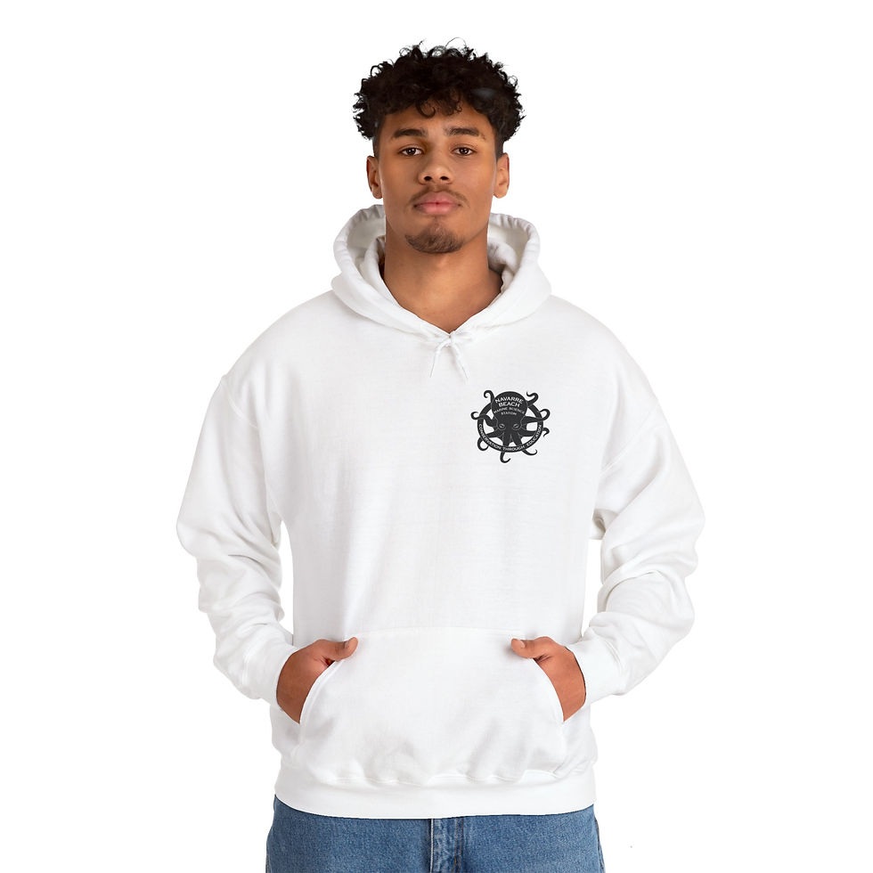Thumbnail: NBMSS Original Logo Unisex Hoodie