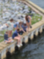 Water Quality Testing on Cauesway