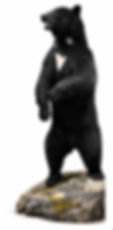 8C4C55B5-E639-4B7C-9F6C-4B3993FD2B03