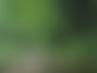 7/9 夕方現在　八東ふる里の森への道路状況