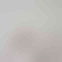 wind vase organic shape