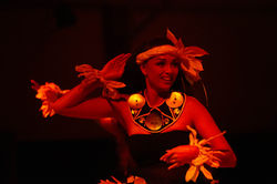 Hawaii Luau