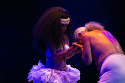 Hawaii Luau