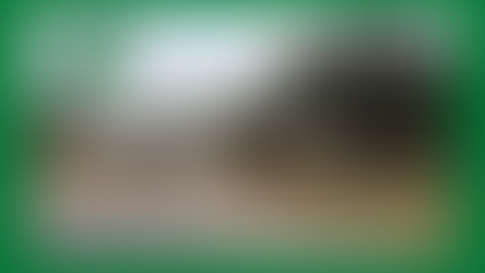 Rio Concho Estate Sale - Saturday Only! 9/11/21