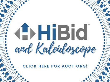 Kaleidoscope is now on HiBid!
