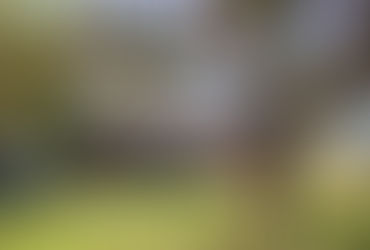 Kennedy Drive Estate Sale April 7-8, 2023