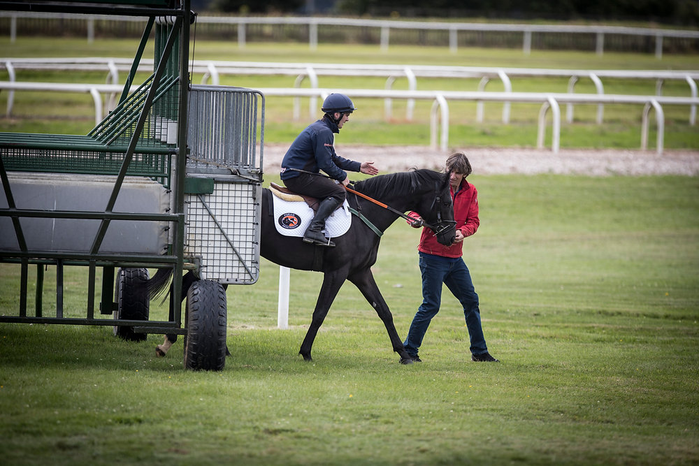 Curridge Riding School 2-year-olds visiting the Curragh training grounds