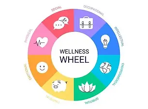 wellness wheel.webp