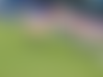 Após “gol mais inacreditável” do ano, atacante do Remo se explica: “Eu poderia ter dominado”.