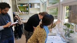 TAing for Chemical Ecology Practical session 2022