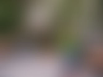 It's My Park Day Saturday May 17th 1pm to 3pm