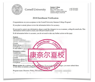 Screen Shot 2022-02-12 at 17.22.13.png