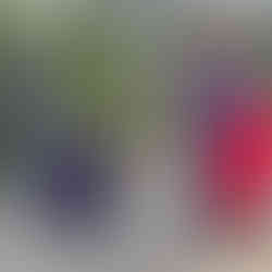 Jamie führt den Zaubertrick Teleportation mehreren Zuschauern vor