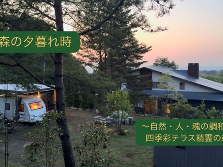 森の夕暮れ時…