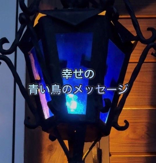 青い鳥のスピリチュアルメッセージ