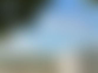 戸隠神社から精霊の森へ