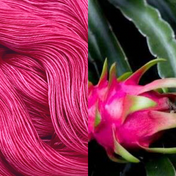 Dragonfruit