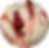 Maraschino Cherry Vanilla