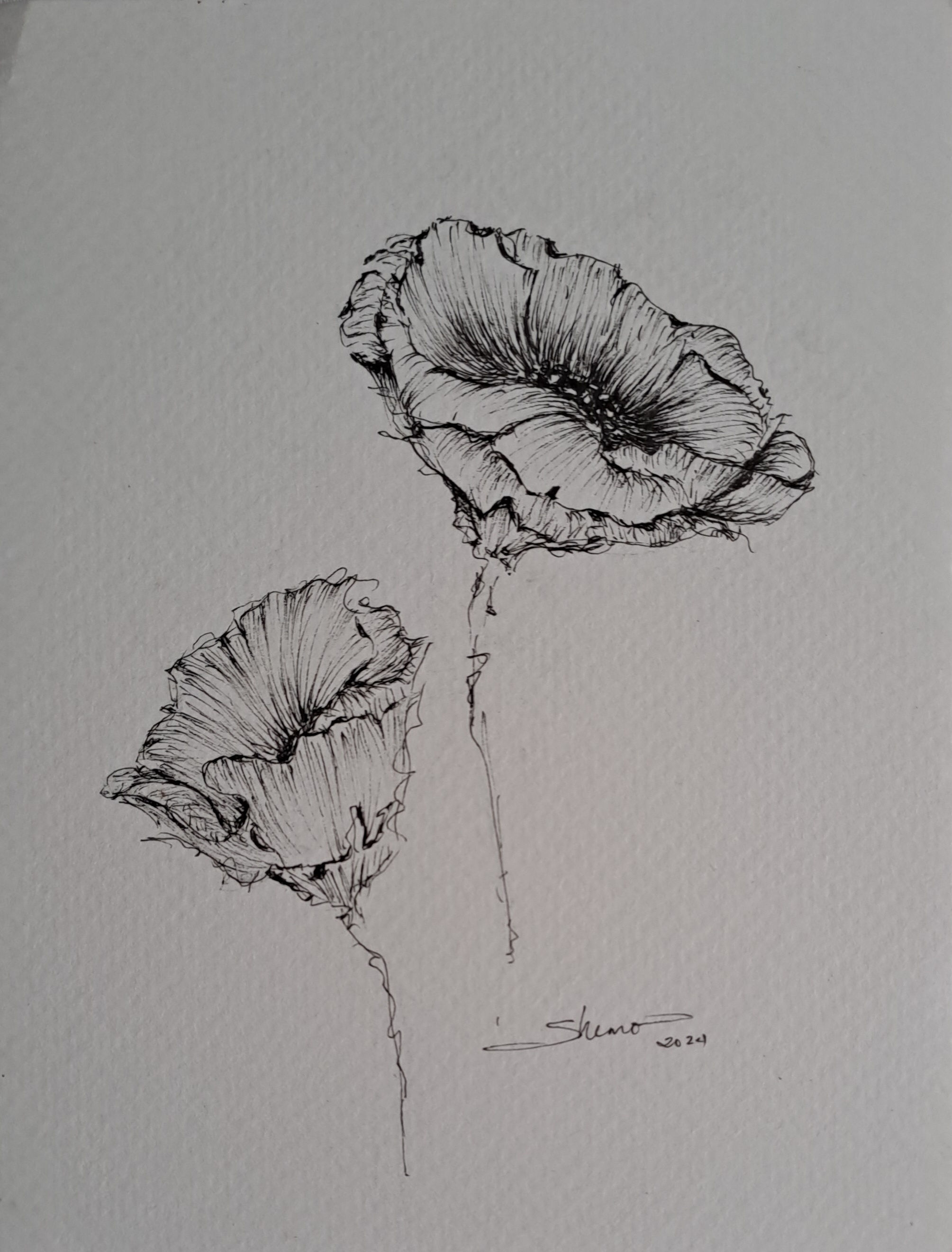 Poppies 1 (August Birth Flower)