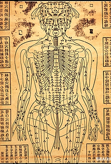 califespa-經絡痛症理療-p1强化针灸图线条