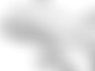 טיסה עם אדמור