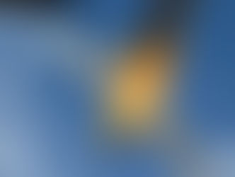 פרנסואה - טייס הקרב הצרפתי