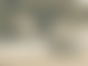 Horse Biomechanics in Motion: A 3-Day Clinic with Thirza Hendriks