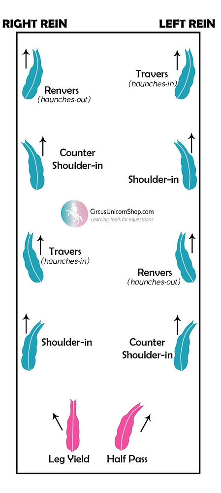 Lateral Skillpath Introducing Riders to Lateral Work: The Smart Sequence for Success