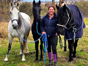 Leading More than One Horse