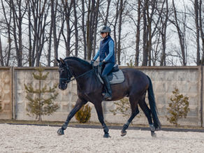 Finding Feel: Demystifying Contact in Horse Riding