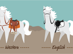 English vs Western: A Beginner’s Guide to Horse Riding Disciplines