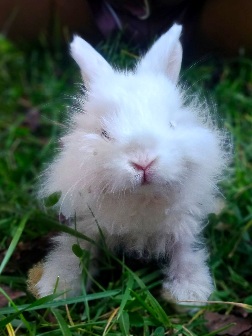 Milkshake when she was really little!
