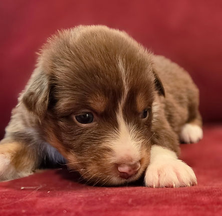 image000000 (19).jpg